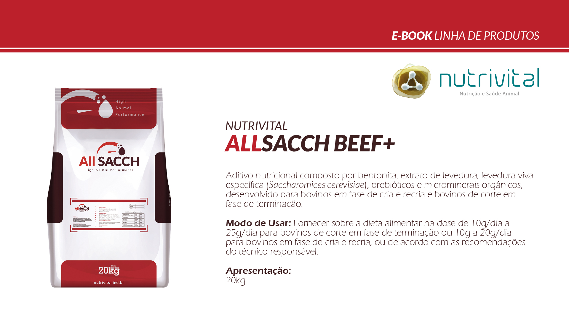 [PORTUGUÊS] E-BOOK ALLSACCH-02